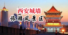 大鸡吧插逼逼和屁眼子视频中国陕西-西安城墙旅游风景区
